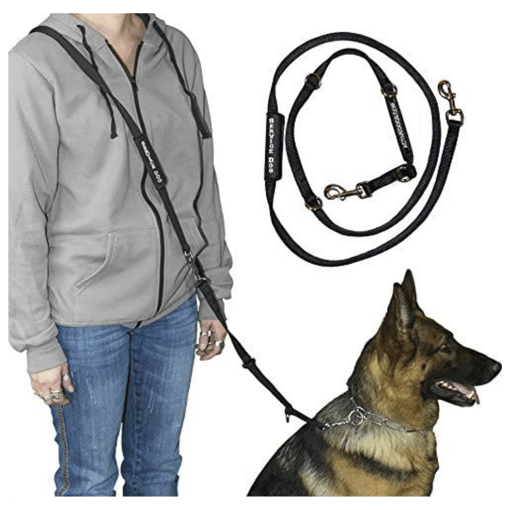 The Best HandsFree Dog Leash Keep Your Dog Safe!