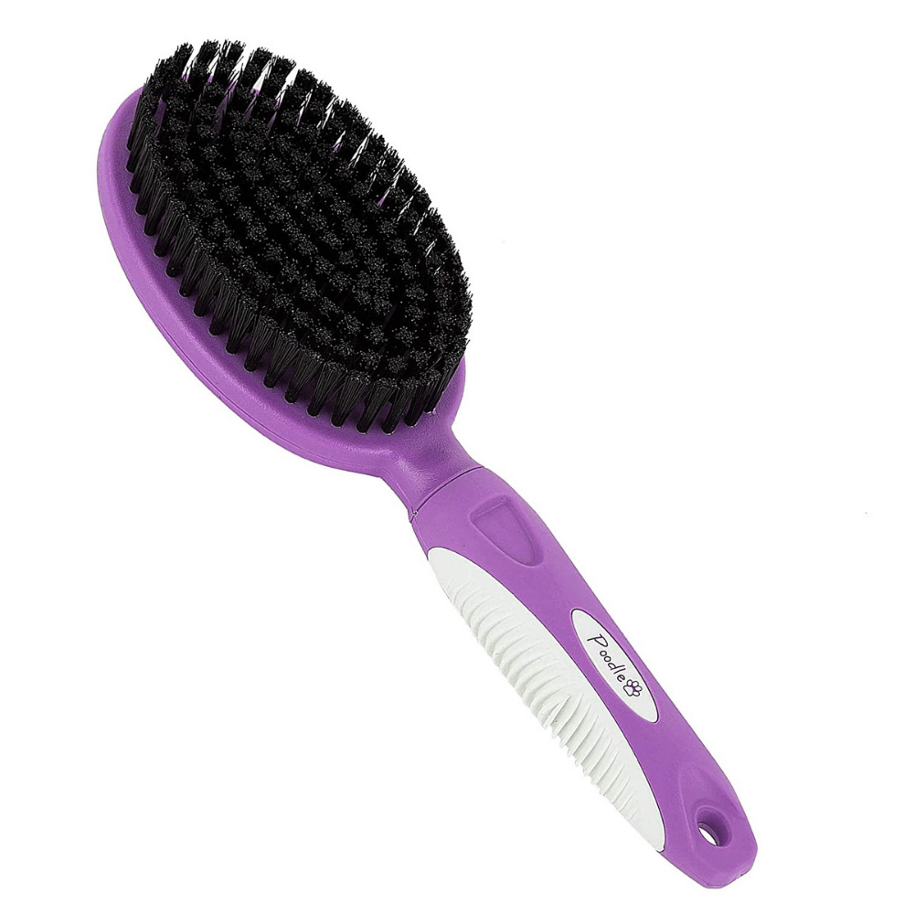 You Want The Best Brush For Short Hair Dogs?