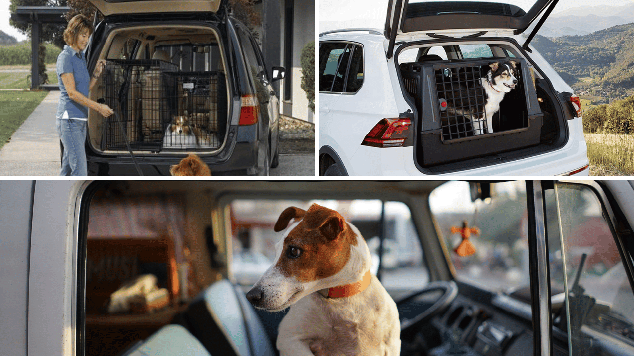 Take a Ride with the Best Dog Crate for Car Find the Perfect Spot for