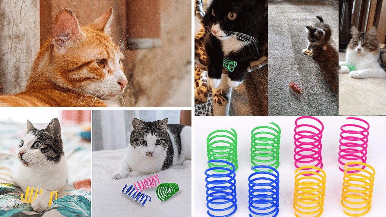 Five FelineApproved Spring Toys for Your Cat's Delight