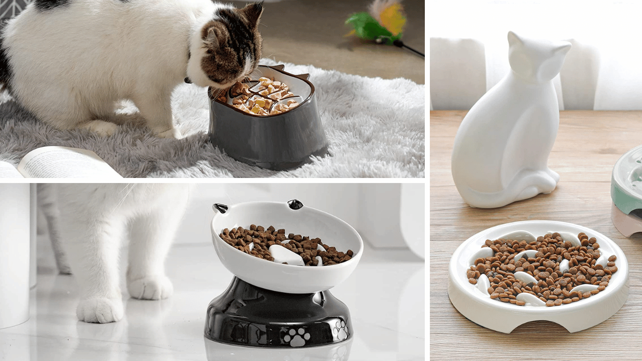 Slow Down Feline Feasts The Top 7 Slow Feeder Cat Bowls