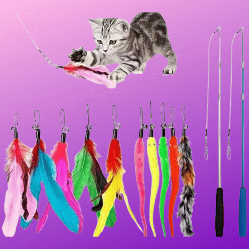 5 Cat-Approved Feather Toys: Putting The Purr In Playtime!