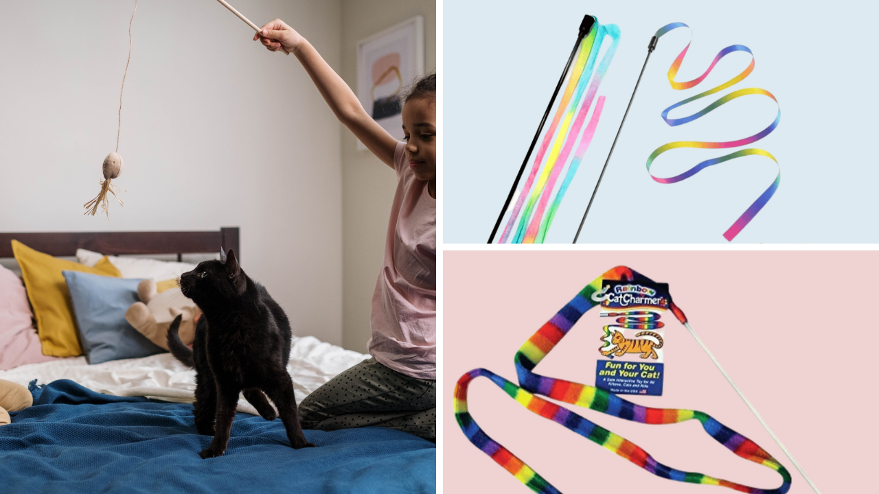Five of the Finest Cat Wands Making Playtime Even More Fun!