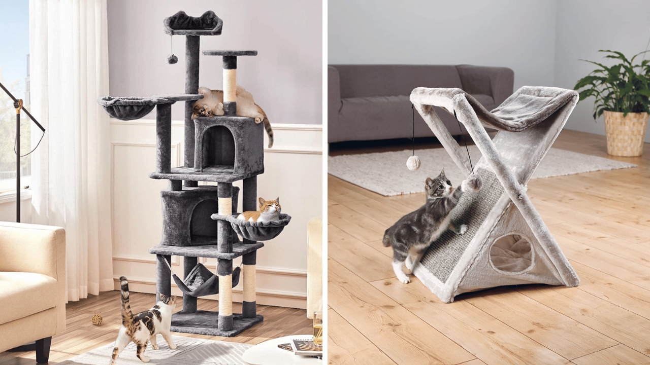 Hangin' Out In Style 5 Cat Trees With Hammocks Reviewed!