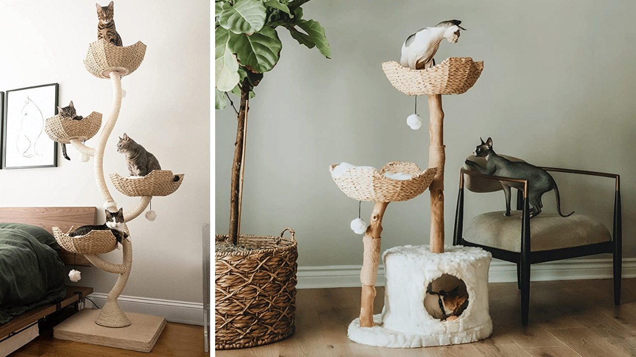 Climb Every Cat's Dream A Review of 4 Mau Cat Trees!