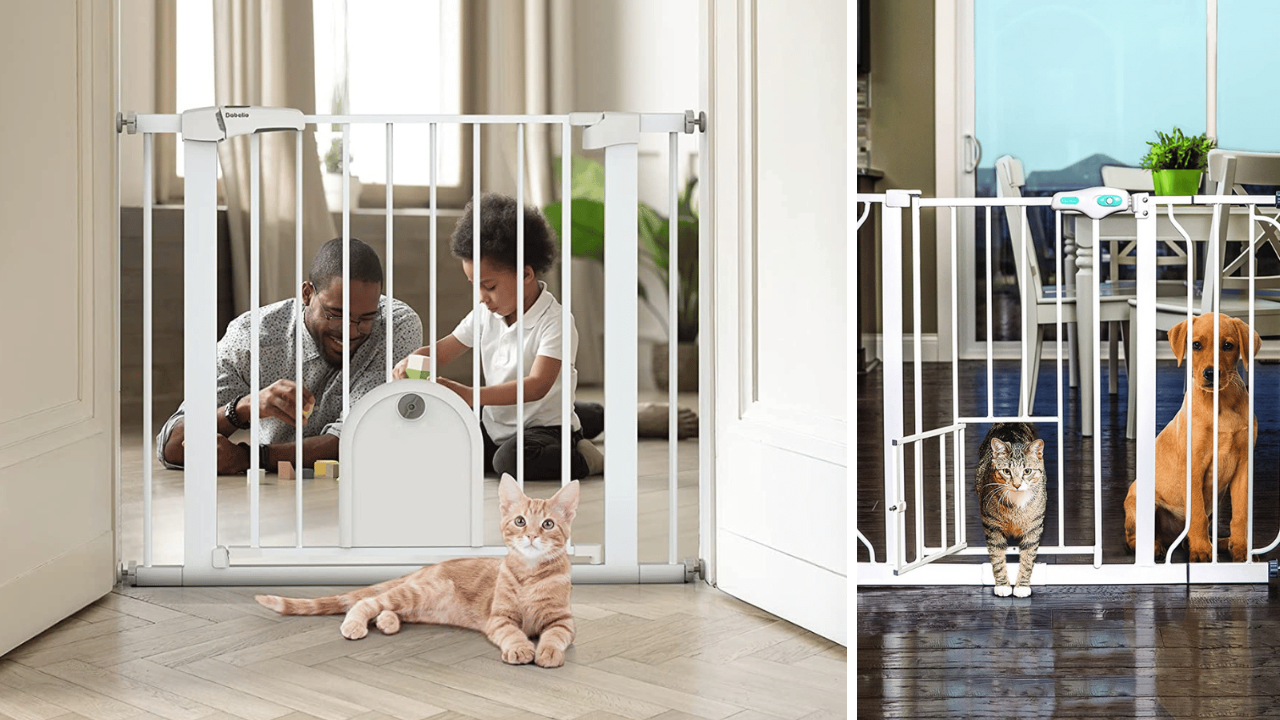5 Dog Gates With Cat Doors—Purrfect Solutions For Pet Parents