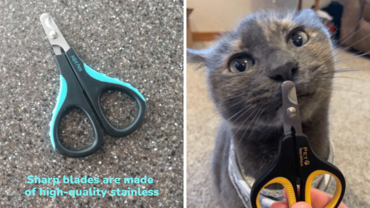 Comparing Claws 6 Best Cat Nail Clippers Put To The Test