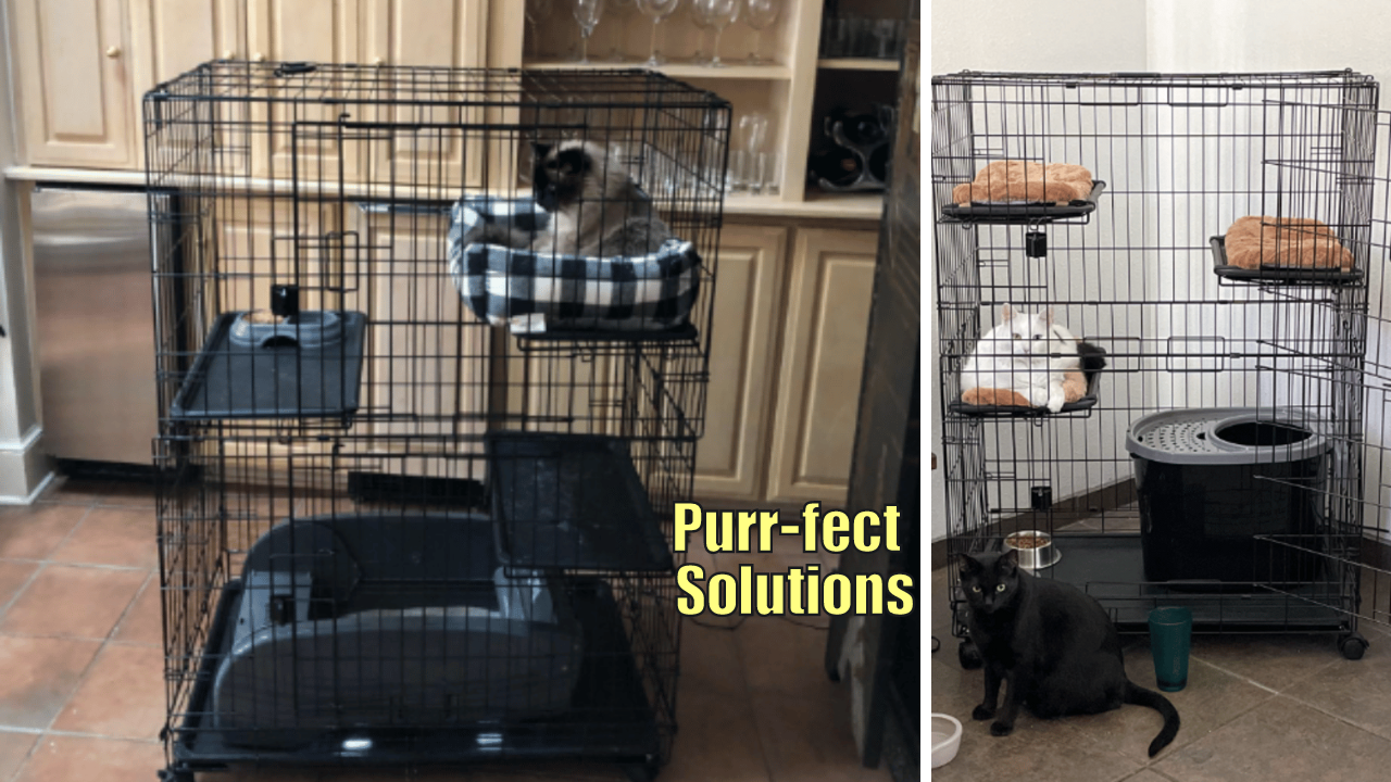 5 Indoor Cat Cages A Purrfect Home For Your Furry Friend