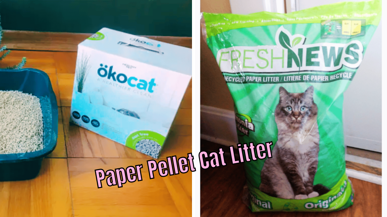 PawSome Reviews Testing Out 5 Paper Pellet Cat Litters