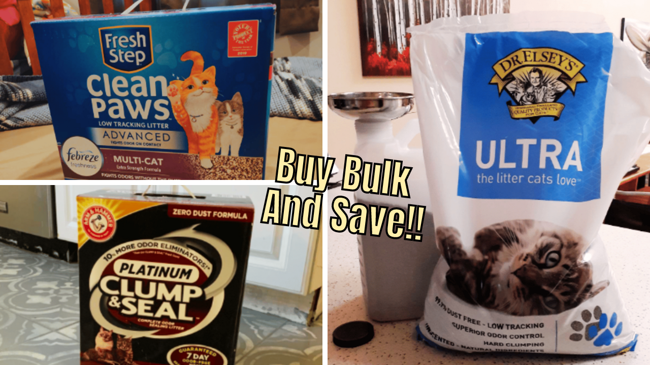 Litter Box Showdown 6 Bulk Cat Litters To Put To The Test