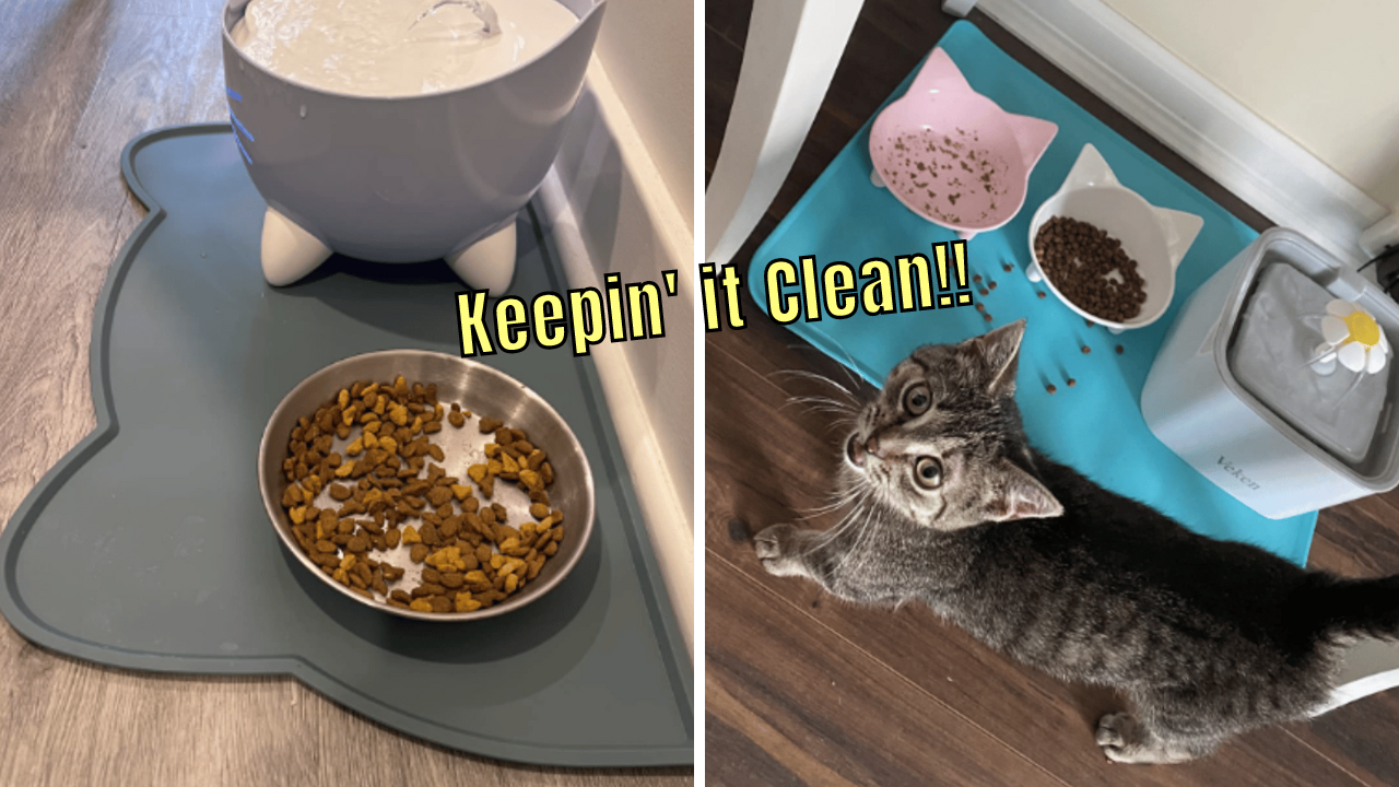 6 Cat Food Mats Put an End to Furry Mealtimes Mayhem!