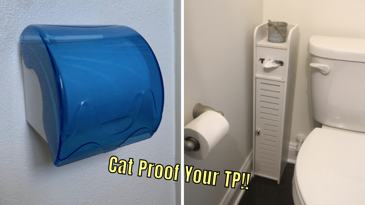 5 CatProof Toilet Paper Holders Keep Your Rolls Safe From Kitty Claws!