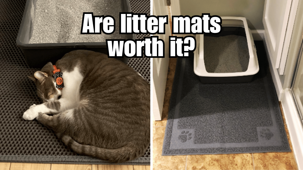 Litter Mats The Secret Weapon Against Cat Litter Mess!