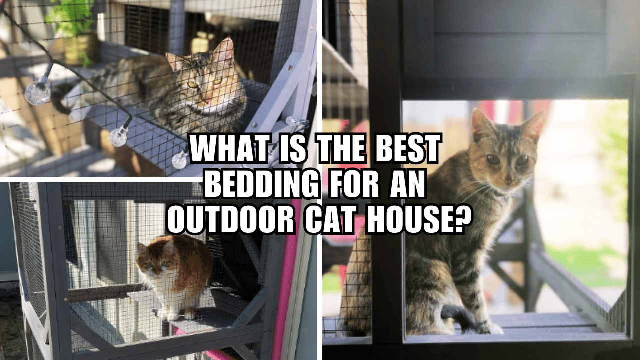 Cozy Cats Only The Ultimate Bedding for Outdoor Cat Homes