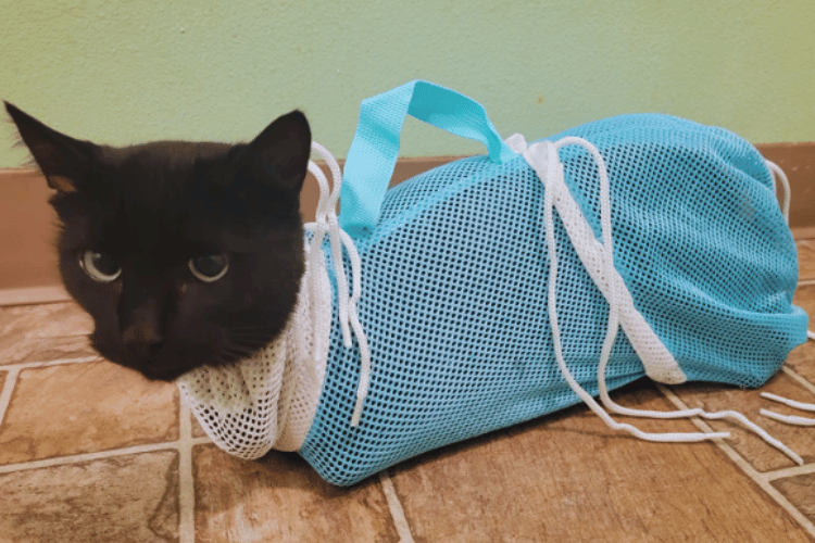 do-cat-bath-bags-work