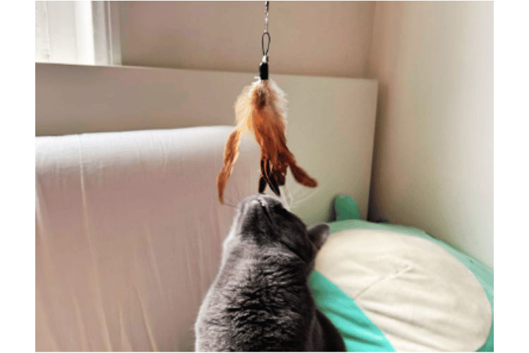 how-do-you-make-a-homemade-cat-wand