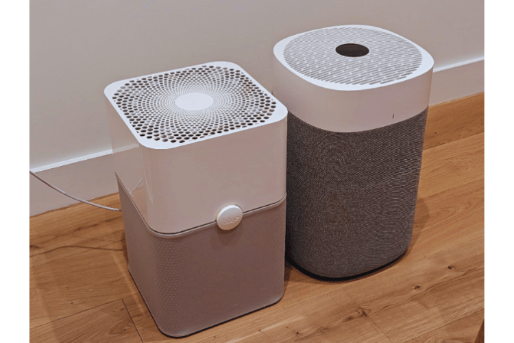 will-an-air-purifier-get-rid-of-cat-pee-smell