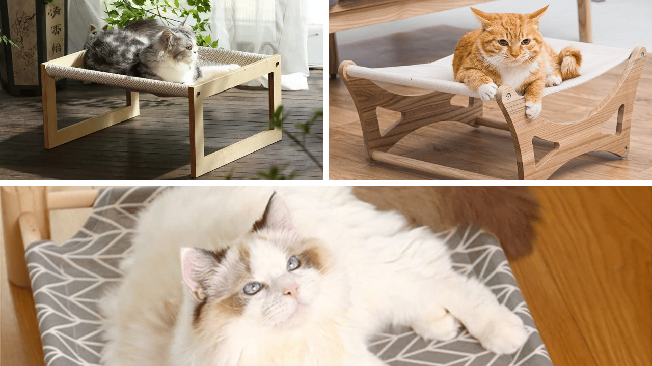 A Purrfect Night's Sleep 5 Wooden Cat Beds Reviewed!