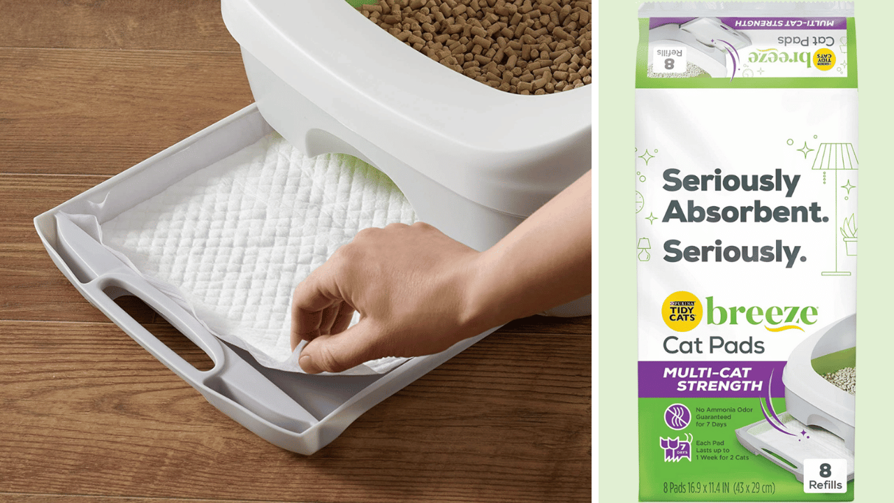 7 Purrfect Pee Pad Solutions For Your CatLoving Home