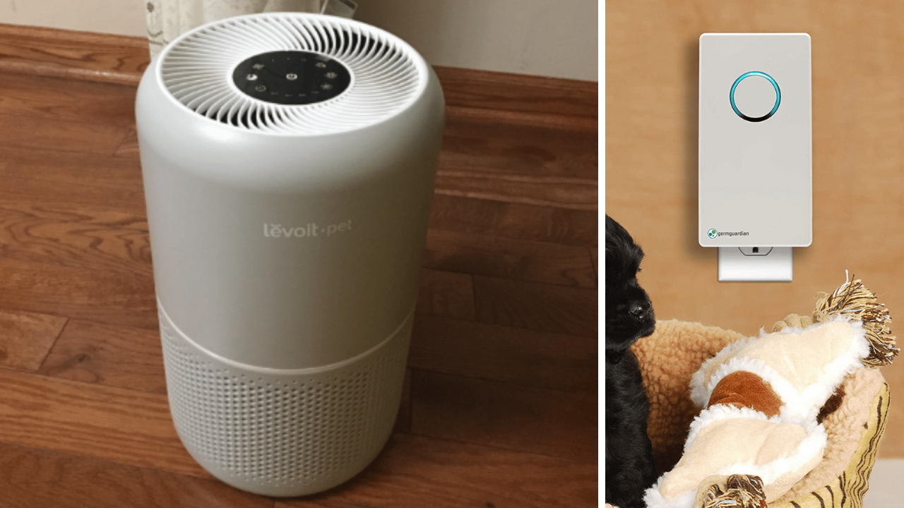 5 KittenApproved Air Purifiers Put an End to Litter Box Odors!