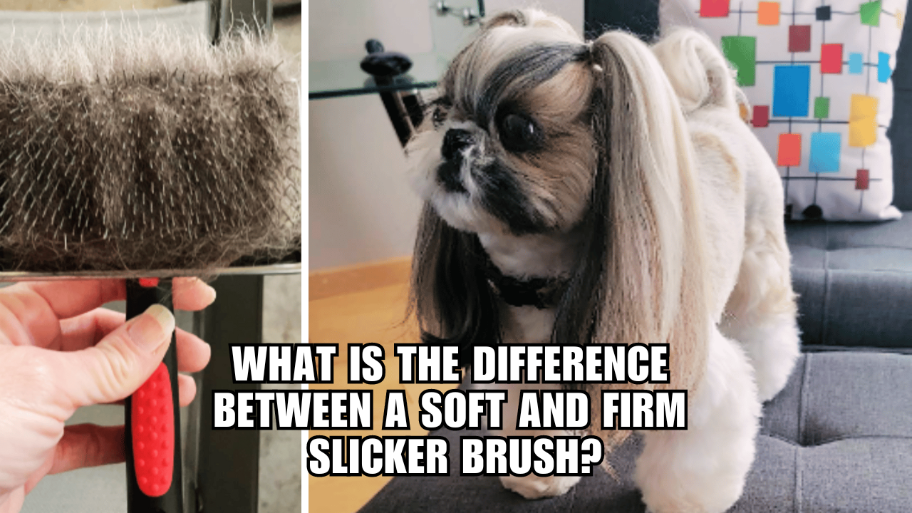 Furtastic Faceoff Soft vs Firm Slicker Brushes Revealed