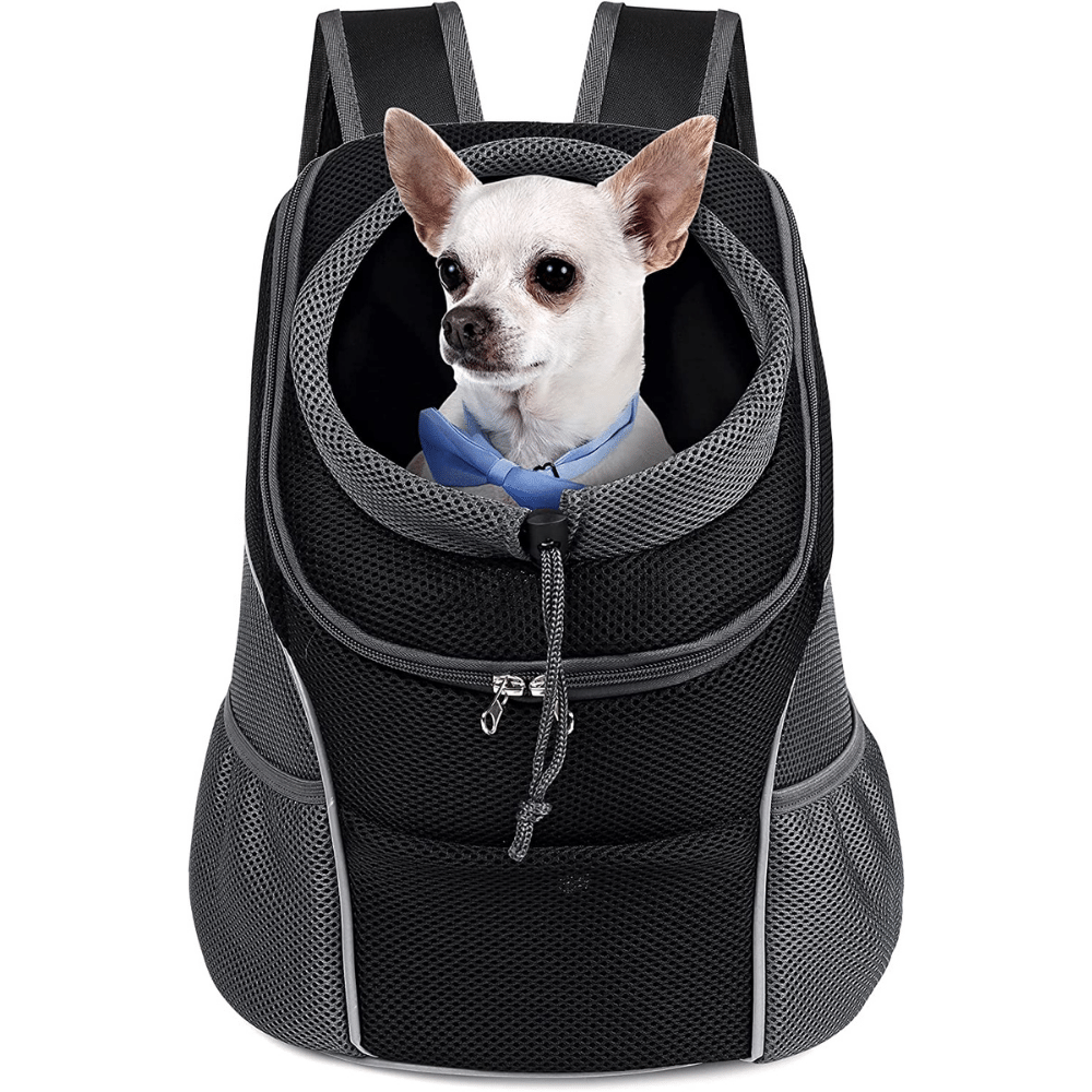 The 7 Best Dog Backpack Carriers For Every Type of Adventurer!