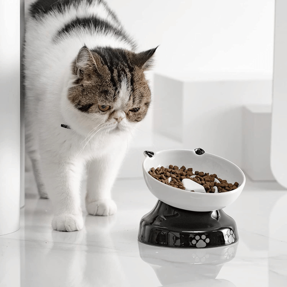 Slow Down Feline Feasts The Top 7 Slow Feeder Cat Bowls