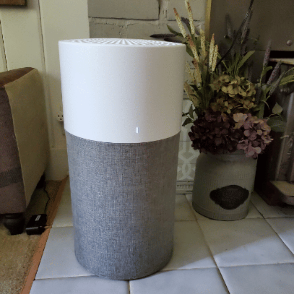 Bacteria - Wikipedia