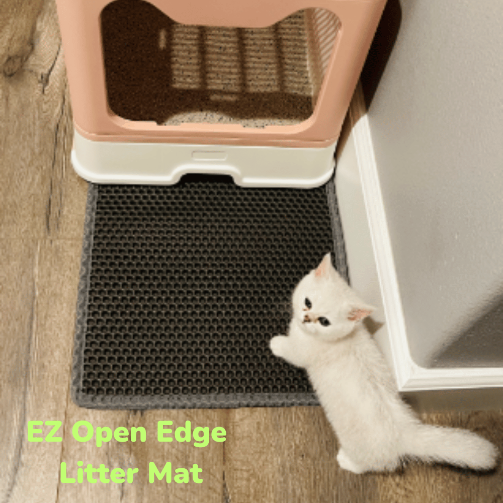 9 of the Best Cat Litter Mats Put an End to the Kitty Mess!