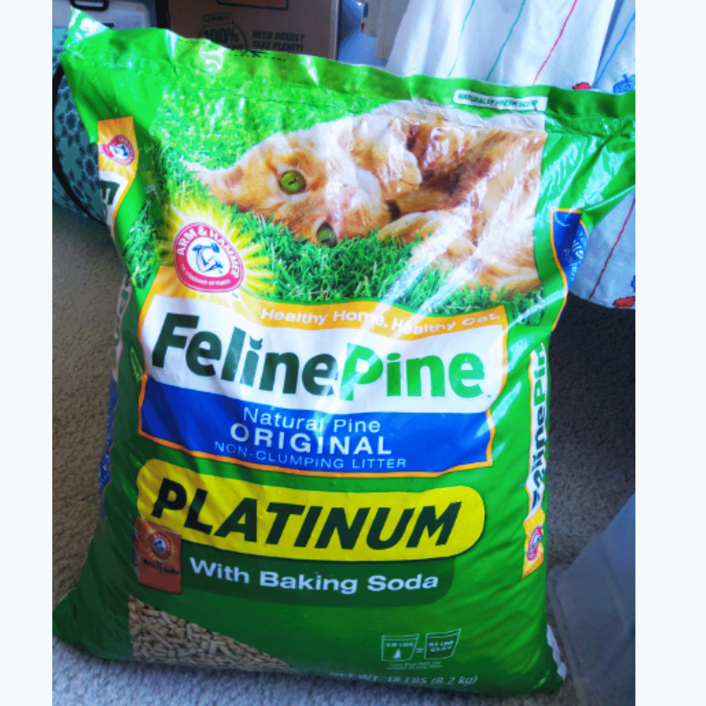 5 Pine Pellet Cat Litters Tested Which One is Purrfect?