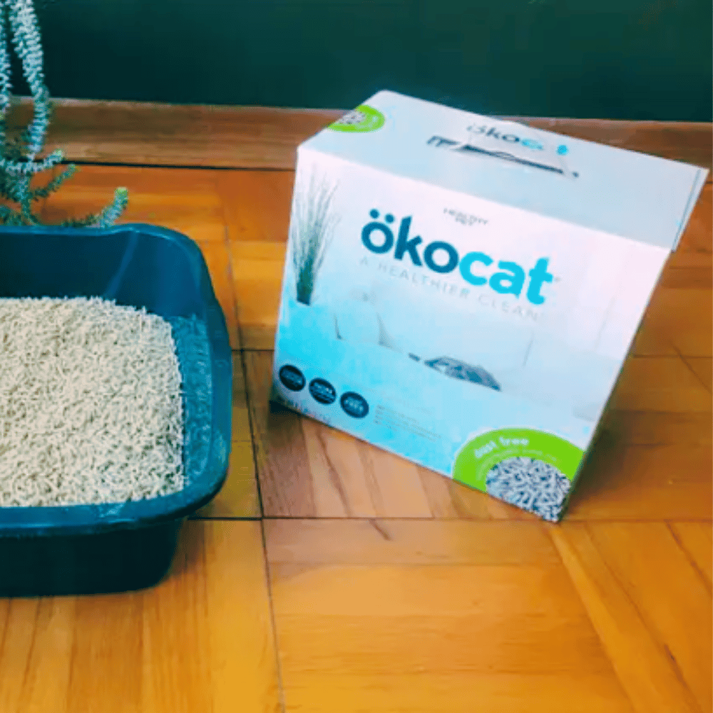 PawSome Reviews Testing Out 5 Paper Pellet Cat Litters