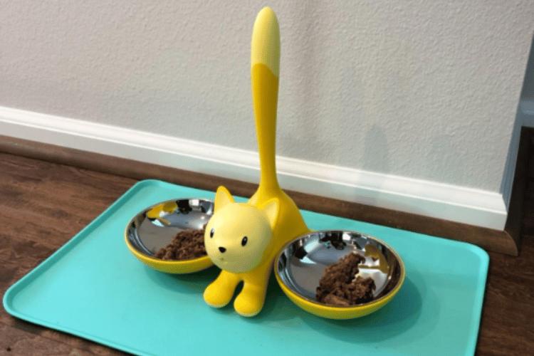 Choosing the Right Platform for Your Feline's Feast