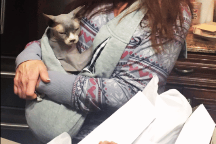 Safe and Snuggly Exploring the World of Cat Slings!