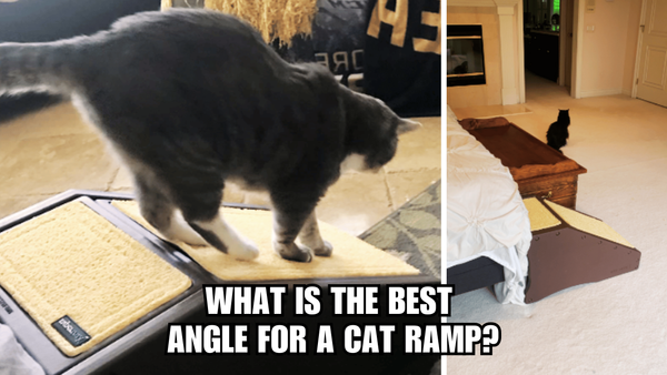 Elevated Excellence: What Is The Best Angle For A Cat Ramp?