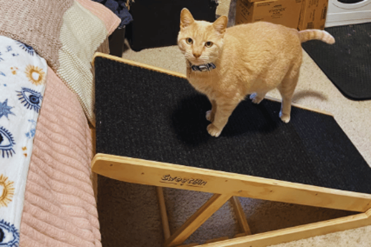 Cat Ramp Science What Slope Should A Cat Ramp Be?