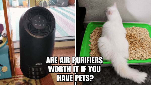 Clear the Air: Are Air Purifiers Worth It If You Have Pets?
