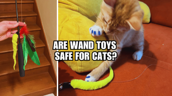 Cat Wand Toys Exposed: Are Wand Toys Safe For Cats?