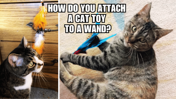 Unleash the Fun: How Do You Attach A Cat Toy To A Wand?