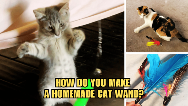 Meow-tastic DIY: How Do You Make A Homemade Cat Wand?