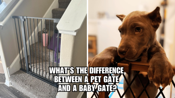 What's The Difference Between A Pet Gate And A Baby Gate?